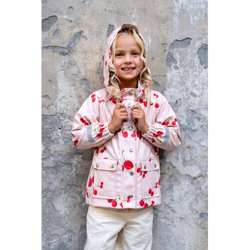 Download/Ebook P1281 Regenpak Morgan