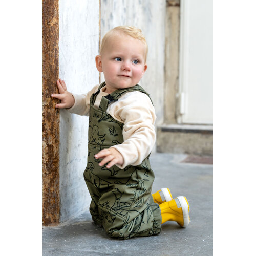 Download/Ebook P1282 Speelpak Romee