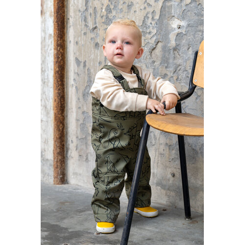 Download/Ebook P1282 Speelpak Romee