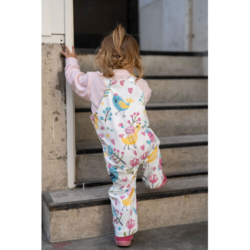 Download/Ebook P1282 Speelpak Romee