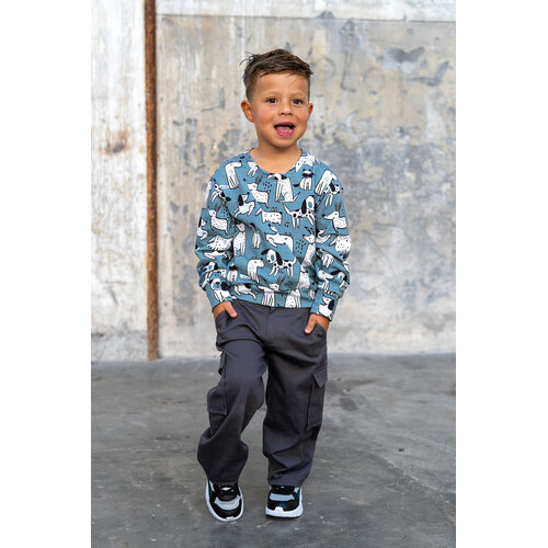 Download/Ebook P1288 Broek Tex