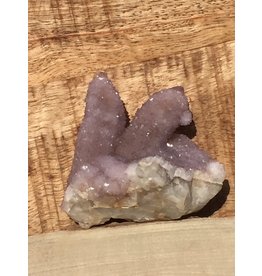 amethyst cactus zuid afrika