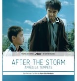 Lumière Cinema Selection AFTER THE STORM | DVD