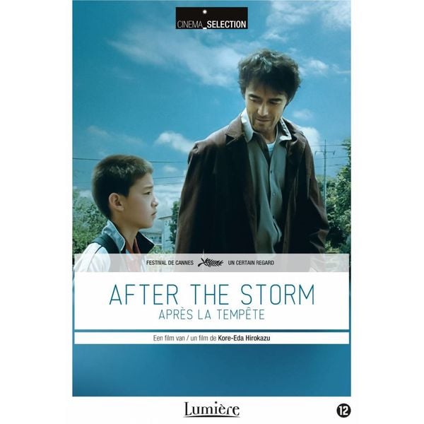 AFTER THE STORM | DVD
