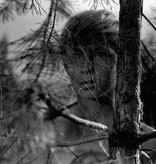 Lumière Classics TARKOVSKY COLLECTION (Digitally Restored & Remastered) | BLU-RAY