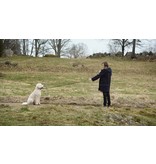 Lumière Series GOSTA | DVD