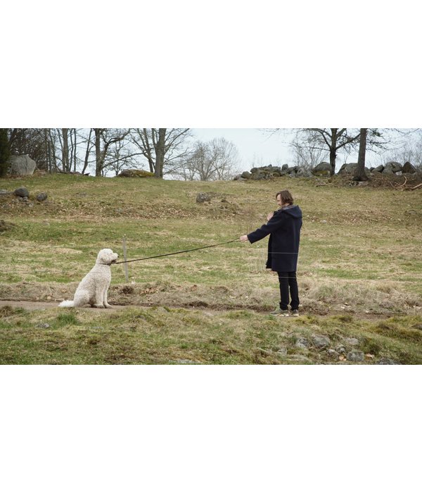 Lumière Series GOSTA | DVD