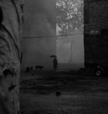 Lumière Classics BELA TARR COLLECTIE | DVD