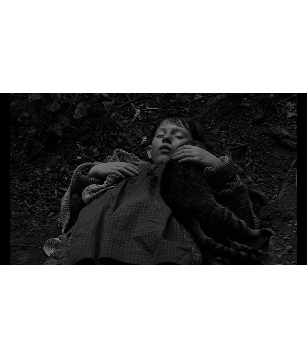 Lumière Classics BELA TARR COLLECTIE | DVD