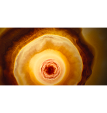 Lumière VOYAGE OF TIME | DVD