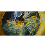 Lumière VOYAGE OF TIME | BLU-RAY