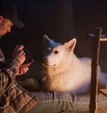 Lumière Crime Series OXEN SEIZOEN 1 | DVD