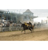 Lumière Series SISI SEIZOEN 4 | DVD