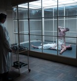 Lumière Crime Series BABYLON BERLIN SEIZOEN 4 | DVD