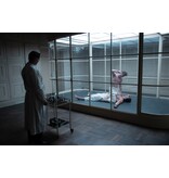 Lumière Crime Series BABYLON BERLIN SEIZOEN 4 | DVD