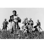 Lumière Classics AKIRA KUROSAWA | BOXSET DVD