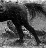 Lumière Classics SEVEN SAMURAI | DVD