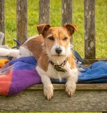 Lumière Crime Series MIDSOMER MURDERS SEIZOEN 22 | DVD