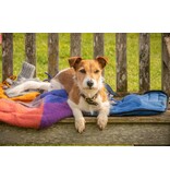 Lumière Crime Series MIDSOMER MURDERS SEIZOEN 22 | DVD