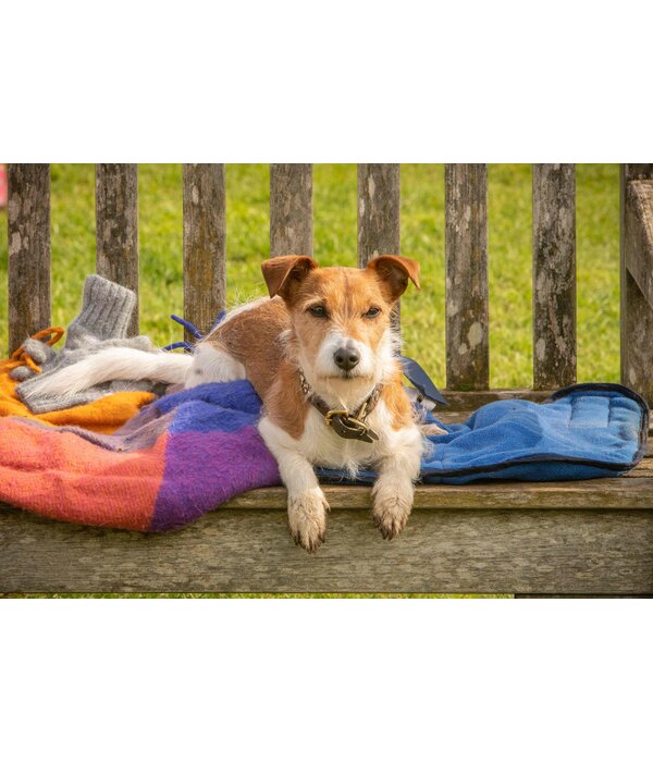 Lumière Crime Series MIDSOMER MURDERS SEIZOEN 22 | DVD