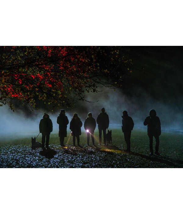 Lumière Crime Series MIDSOMER MURDERS SEIZOEN 22 | DVD