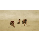 Lumière THE RED TURTLE - SPECIAL EDITION | DVD