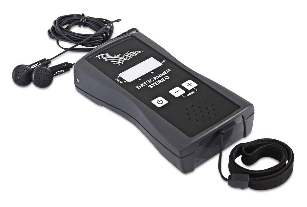 Bat detector