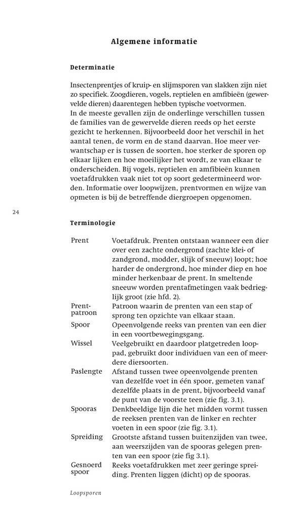 Veldgids Diersporen