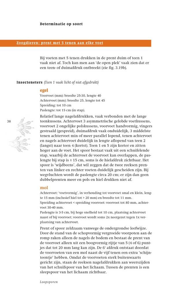 Veldgids Diersporen