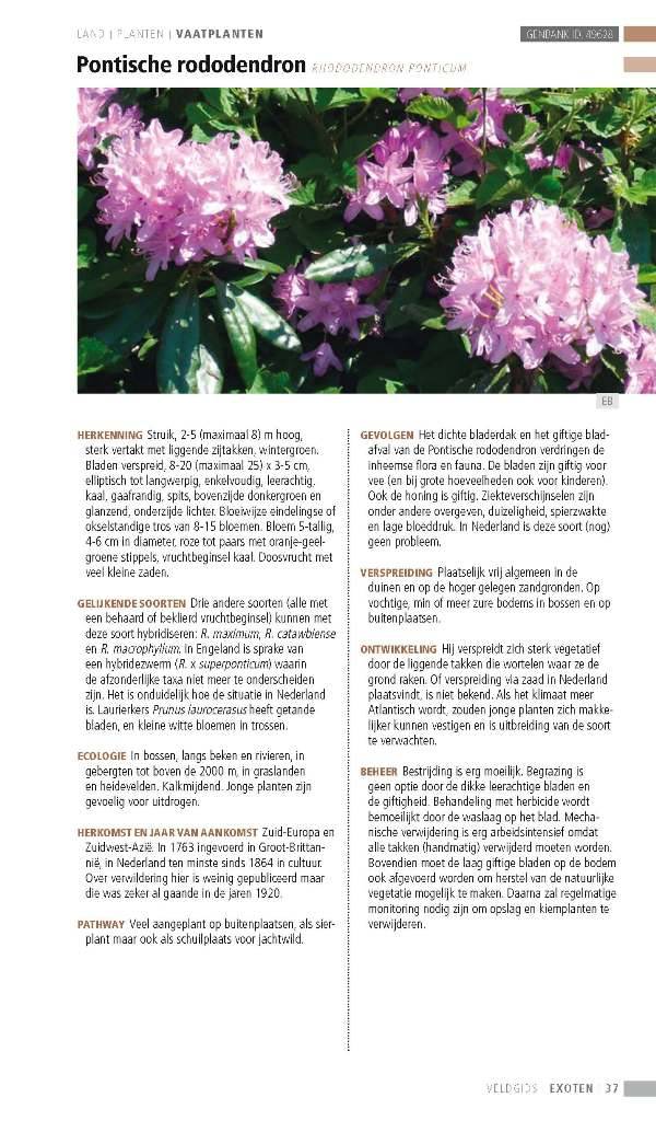 Veldgids exoten