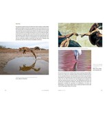 Handboek Natuurfotografie