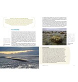 Handboek Natuurfotografie
