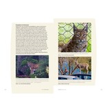 Handboek Natuurfotografie