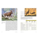 Handboek Natuurfotografie