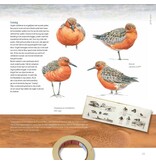 Het Waddenatelier