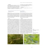 De Nederlandse biodiversiteit