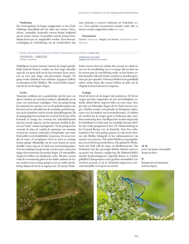 De Nederlandse biodiversiteit