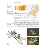 De Nederlandse biodiversiteit