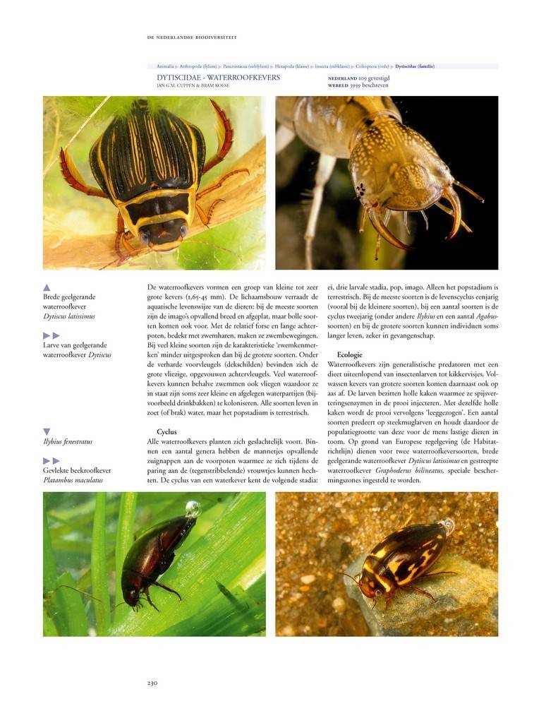De Nederlandse biodiversiteit
