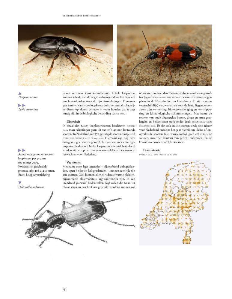 De Nederlandse biodiversiteit