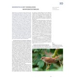 De Nederlandse biodiversiteit