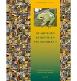 De amfibie