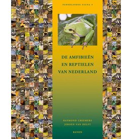 De amfibie