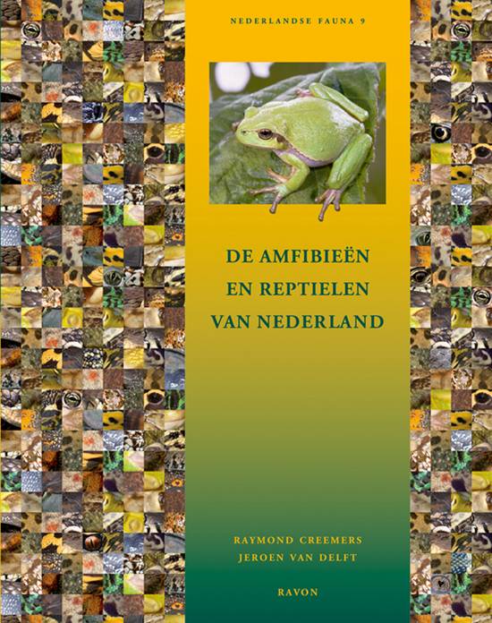 De amfibie