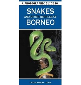 A Photographic Guide to Snakes and other Reptiles of Borneo