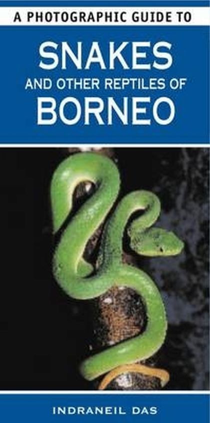 A Photographic Guide to Snakes and other Reptiles of Borneo