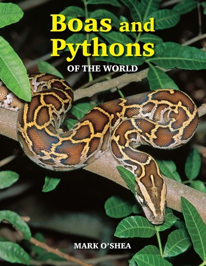 Boas and Pythons of the World