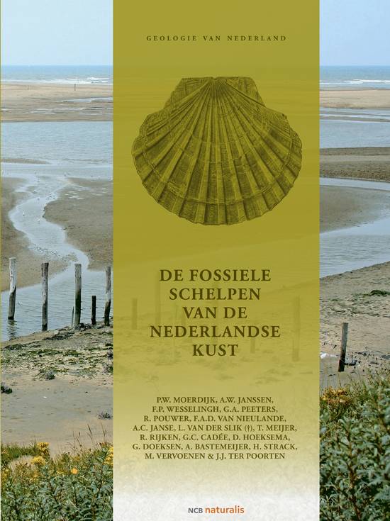 De fossiele schelpen van de Nederlandse kust