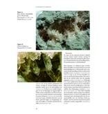 De mineralen van Nederland