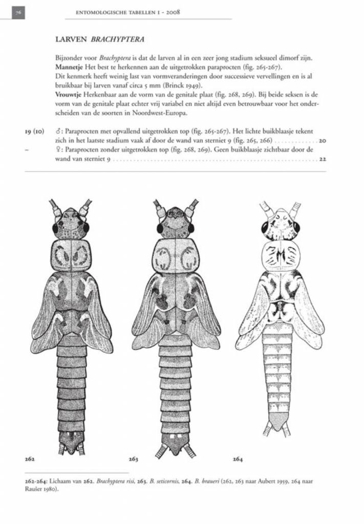 De Nederlandse steenvliegen (Plecoptera)